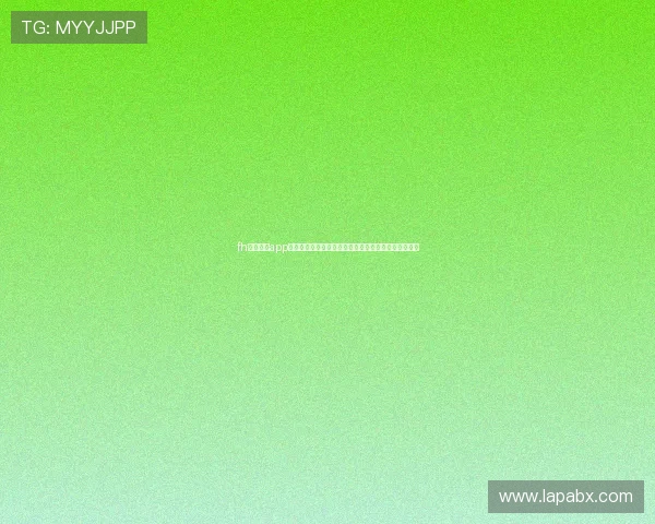 fh体育官网app全新升级版本带来更加流畅的游戏体验与安全保障功能